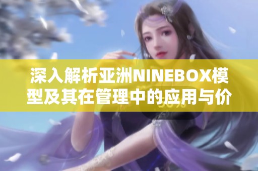 深入解析亚洲NINEBOX模型及其在管理中的应用与价值