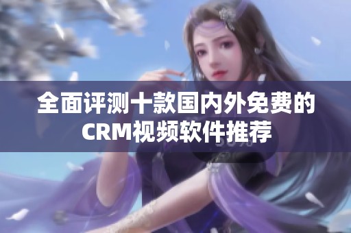 全面评测十款国内外免费的CRM视频软件推荐