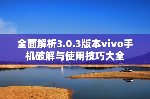 全面解析3.0.3版本vivo手机破解与使用技巧大全