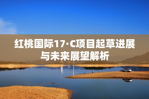 红桃国际17·C项目起草进展与未来展望解析