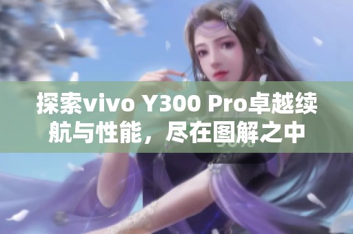 探索vivo Y300 Pro卓越续航与性能，尽在图解之中