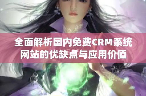 全面解析国内免费CRM系统网站的优缺点与应用价值