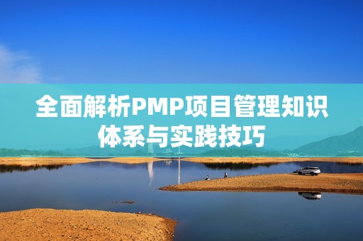 全面解析PMP项目管理知识体系与实践技巧