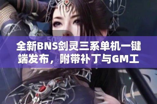 全新BNS剑灵三系单机一键端发布，附带补丁与GM工具