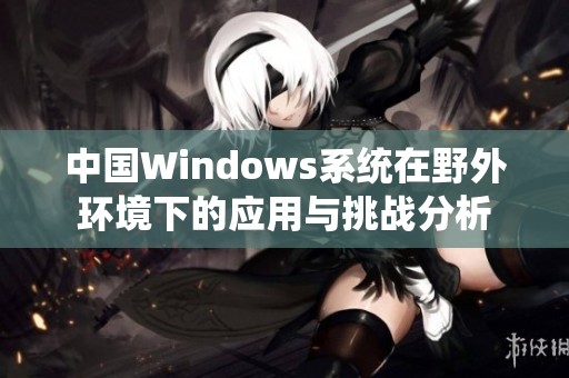 中国Windows系统在野外环境下的应用与挑战分析