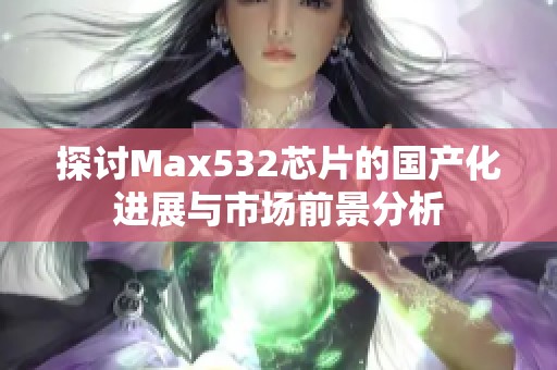 探讨Max532芯片的国产化进展与市场前景分析