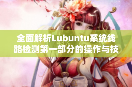 全面解析Lubuntu系统线路检测第一部分的操作与技巧