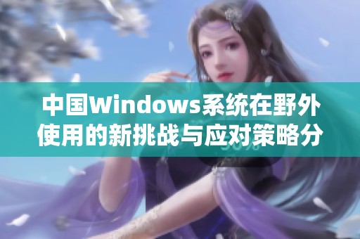 中国Windows系统在野外使用的新挑战与应对策略分析