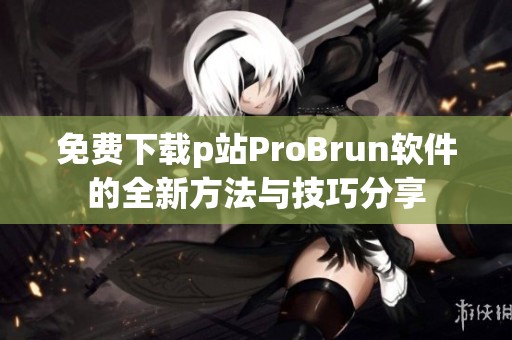 免费下载p站ProBrun软件的全新方法与技巧分享