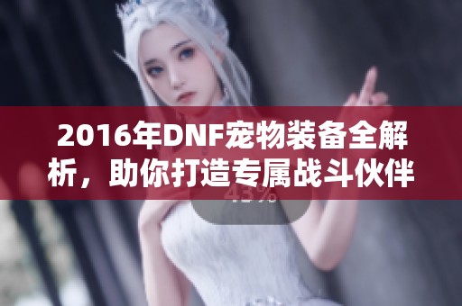 2016年DNF宠物装备全解析，助你打造专属战斗伙伴！