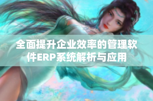 全面提升企业效率的管理软件ERP系统解析与应用