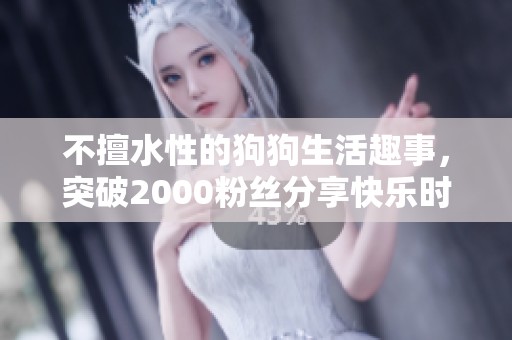 不擅水性的狗狗生活趣事，突破2000粉丝分享快乐时刻