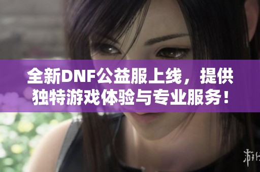 全新DNF公益服上线，提供独特游戏体验与专业服务！