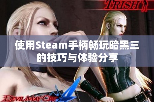 使用Steam手柄畅玩暗黑三的技巧与体验分享