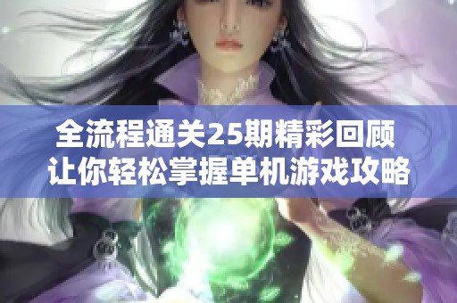 全流程通关25期精彩回顾 让你轻松掌握单机游戏攻略