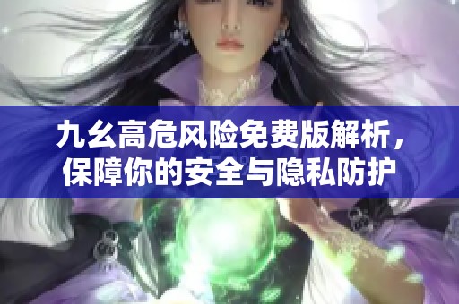 九幺高危风险免费版解析，保障你的安全与隐私防护