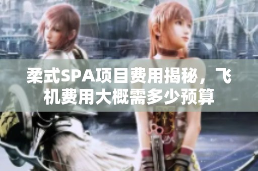 柔式SPA项目费用揭秘，飞机费用大概需多少预算