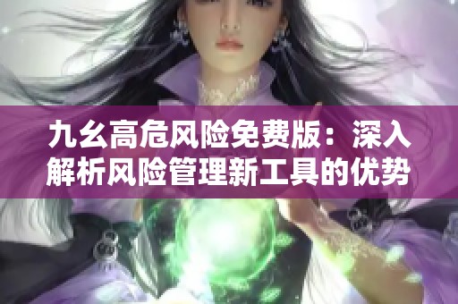 九幺高危风险免费版：深入解析风险管理新工具的优势与应用