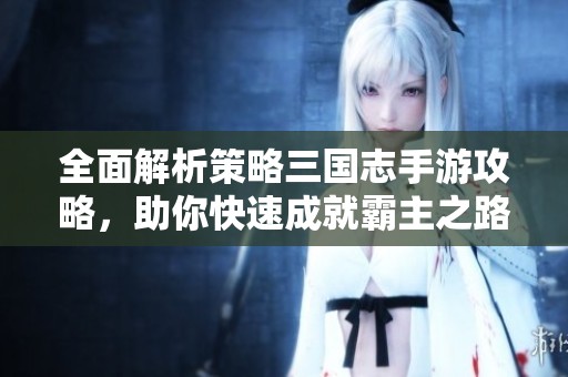 全面解析策略三国志手游攻略，助你快速成就霸主之路