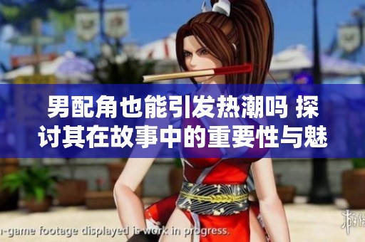 男配角也能引发热潮吗 探讨其在故事中的重要性与魅力