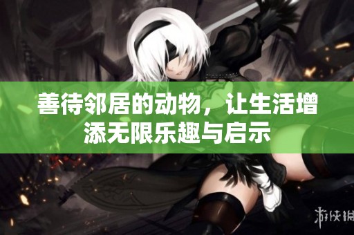 善待邻居的动物，让生活增添无限乐趣与启示
