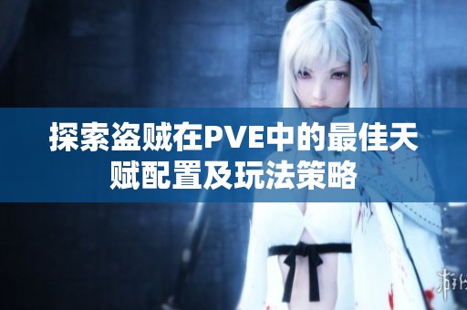 探索盗贼在PVE中的最佳天赋配置及玩法策略