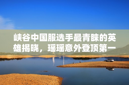 峡谷中国服选手最青睐的英雄揭晓，瑶瑶意外登顶第一！