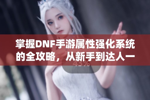 掌握DNF手游属性强化系统的全攻略，从新手到达人一步到位