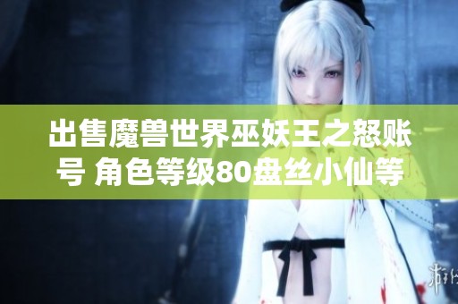 出售魔兽世界巫妖王之怒账号 角色等级80盘丝小仙等你来取