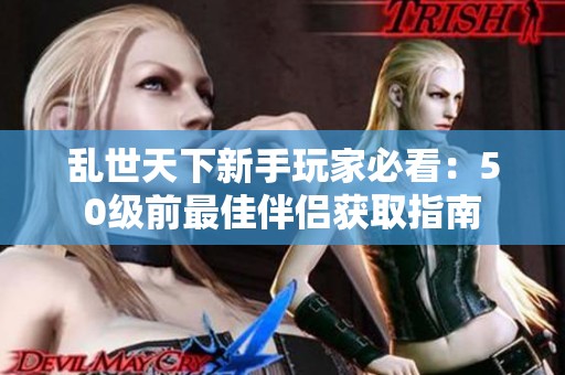 乱世天下新手玩家必看：50级前最佳伴侣获取指南