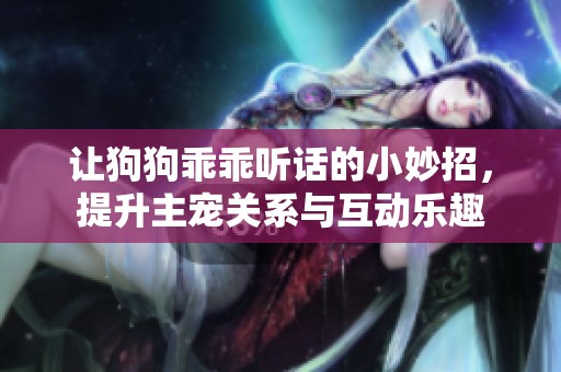 让狗狗乖乖听话的小妙招，提升主宠关系与互动乐趣
