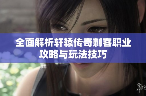 全面解析轩辕传奇刺客职业攻略与玩法技巧