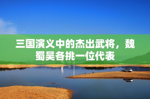 三国演义中的杰出武将，魏蜀吴各挑一位代表