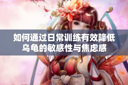 如何通过日常训练有效降低乌龟的敏感性与焦虑感