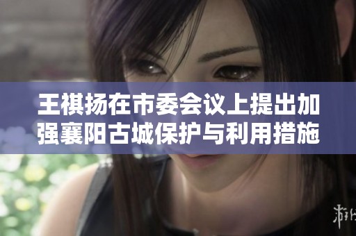 王祺扬在市委会议上提出加强襄阳古城保护与利用措施