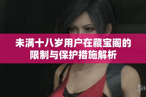 未满十八岁用户在藏宝阁的限制与保护措施解析