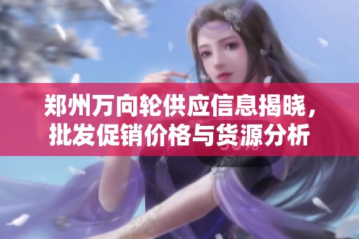 郑州万向轮供应信息揭晓，批发促销价格与货源分析