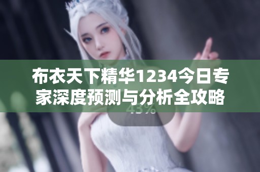 布衣天下精华1234今日专家深度预测与分析全攻略