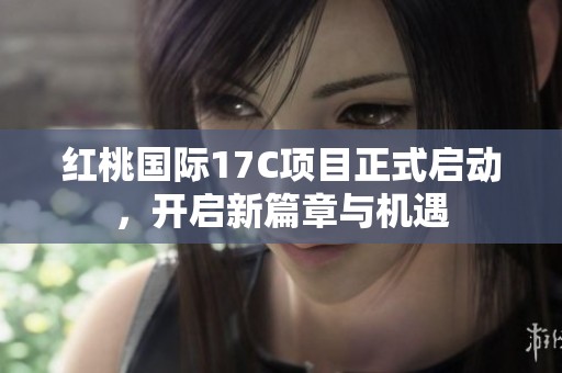 红桃国际17C项目正式启动，开启新篇章与机遇