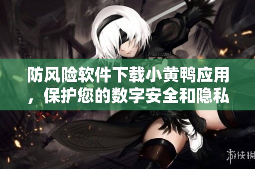 防风险软件下载小黄鸭应用，保护您的数字安全和隐私