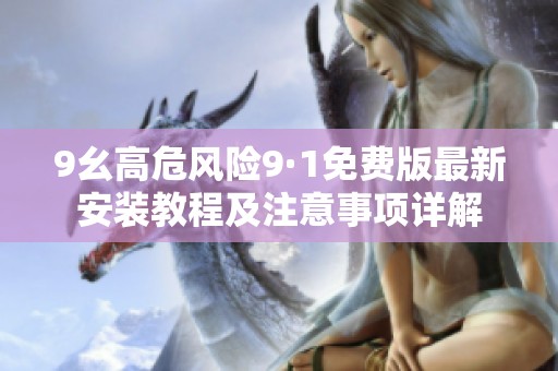 9幺高危风险9·1免费版最新安装教程及注意事项详解