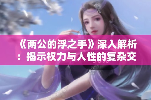 《两公的浮之手》深入解析：揭示权力与人性的复杂交织