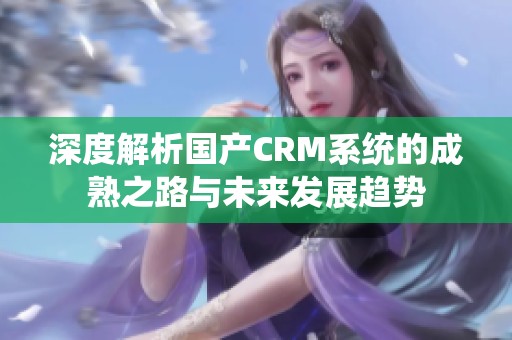 深度解析国产CRM系统的成熟之路与未来发展趋势