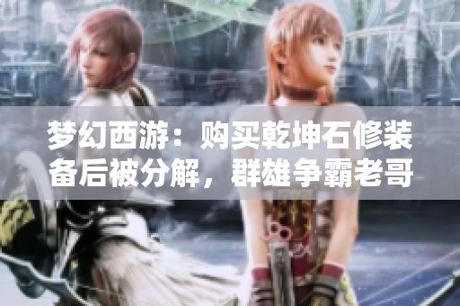 梦幻西游：购买乾坤石修装备后被分解，群雄争霸老哥心碎无奈