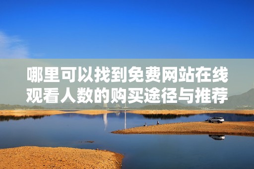 哪里可以找到免费网站在线观看人数的购买途径与推荐