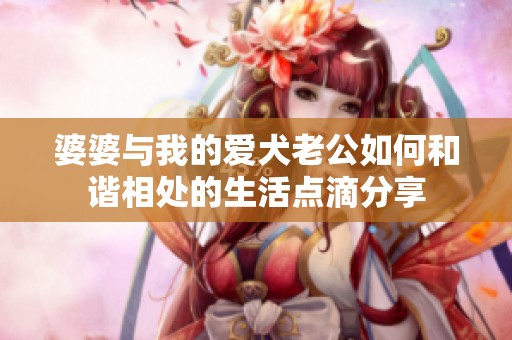 婆婆与我的爱犬老公如何和谐相处的生活点滴分享
