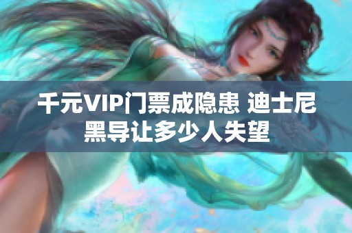 千元VIP门票成隐患 迪士尼黑导让多少人失望