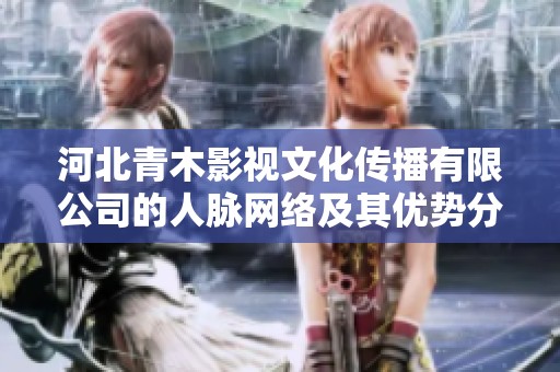 河北青木影视文化传播有限公司的人脉网络及其优势分析