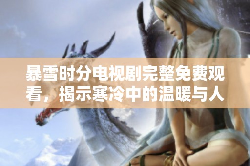 暴雪时分电视剧完整免费观看，揭示寒冷中的温暖与人性