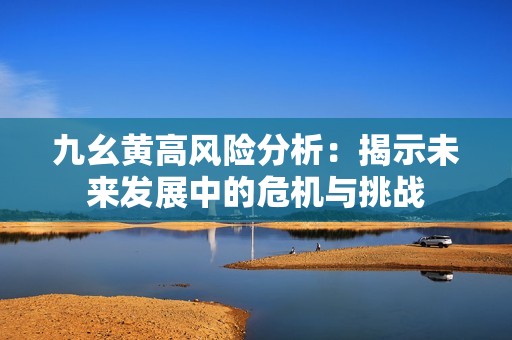 九幺黄高风险分析：揭示未来发展中的危机与挑战